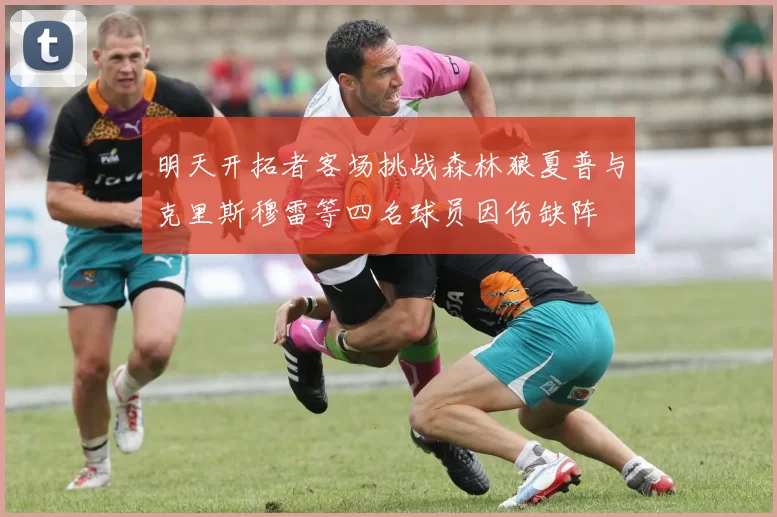 明天开拓者客场挑战森林狼夏普与克里斯穆雷等四名球员因伤缺阵